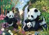 Panda family at the waterfall, 500 db (57380)