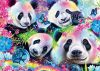 Neon Rainbow Pandas 1000 db (58516) Kirakó